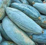 Guatemalan Blue Squash
