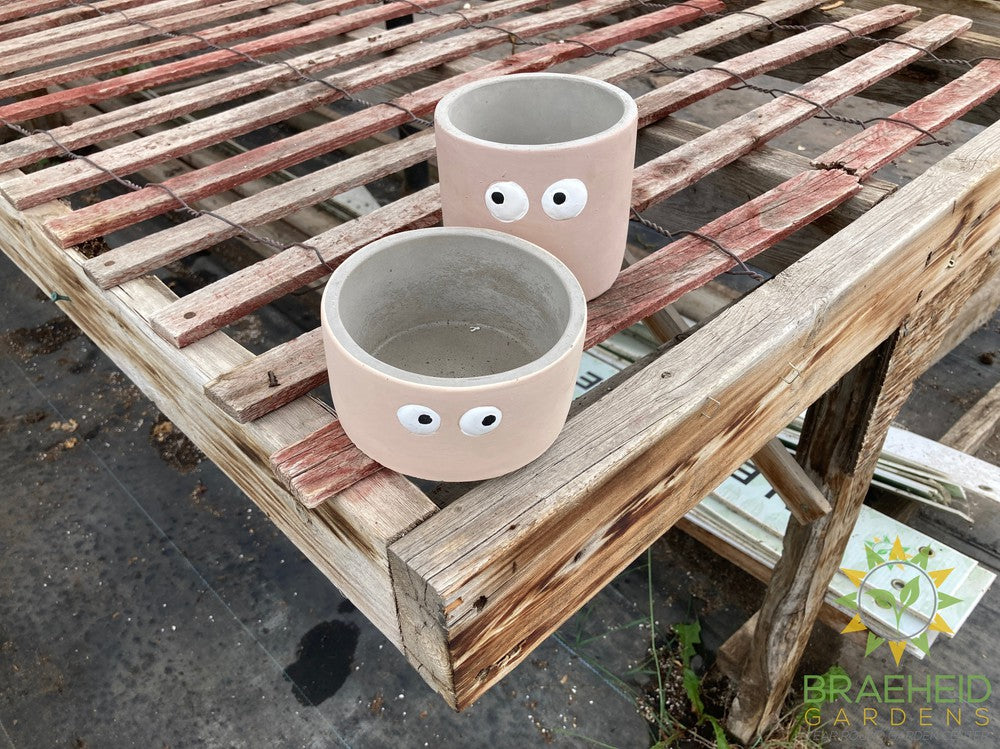 Googly Eye Planter