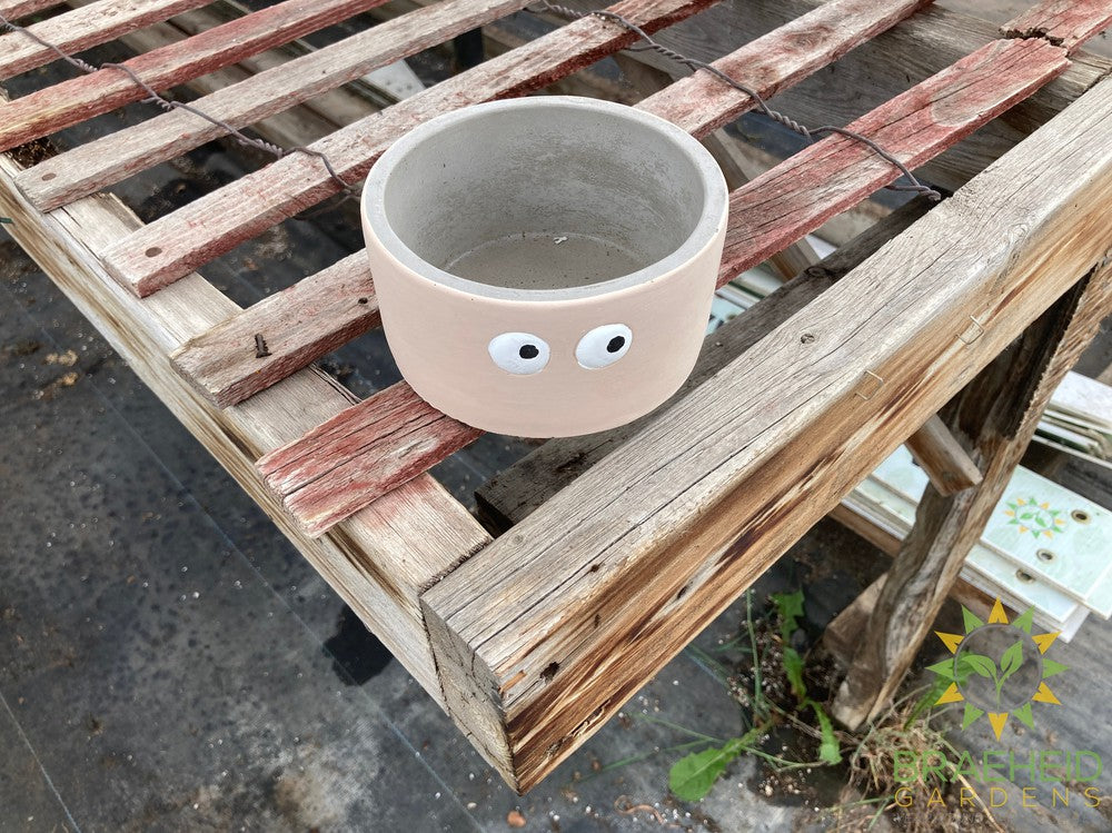 Googly Eye Planter