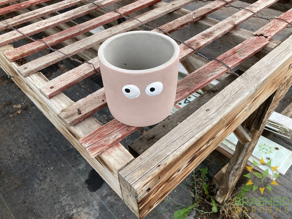 Googly Eye Planter