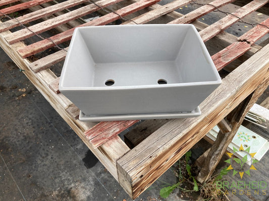 Matte Bonsai Pot assorted