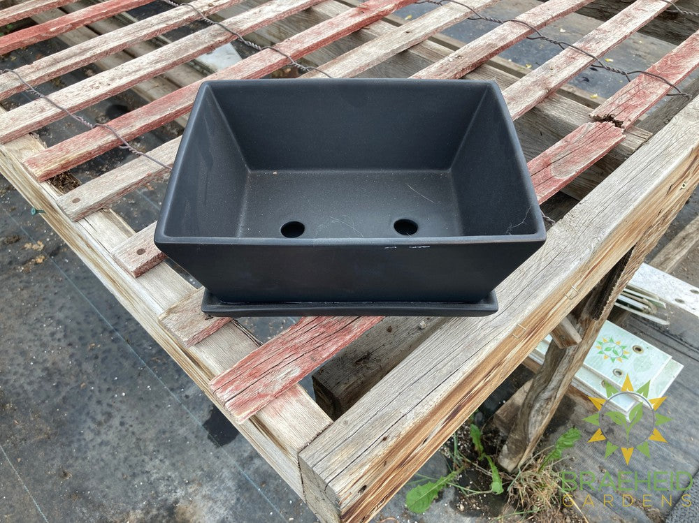 Matte Bonsai Pot assorted