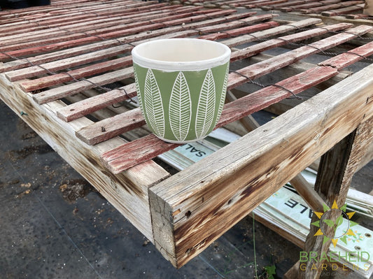 Green Leaf Cement Planter