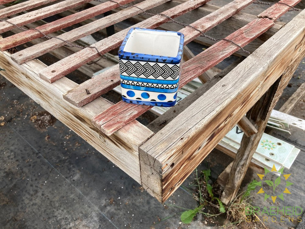 Blue Wing Planter