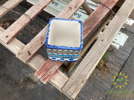 Blue Wing Planter