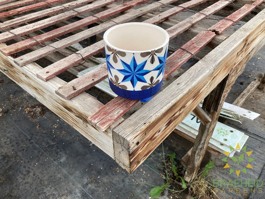 Bohemian Blue Star Planter