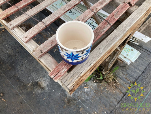 Bohemian Blue Star Planter