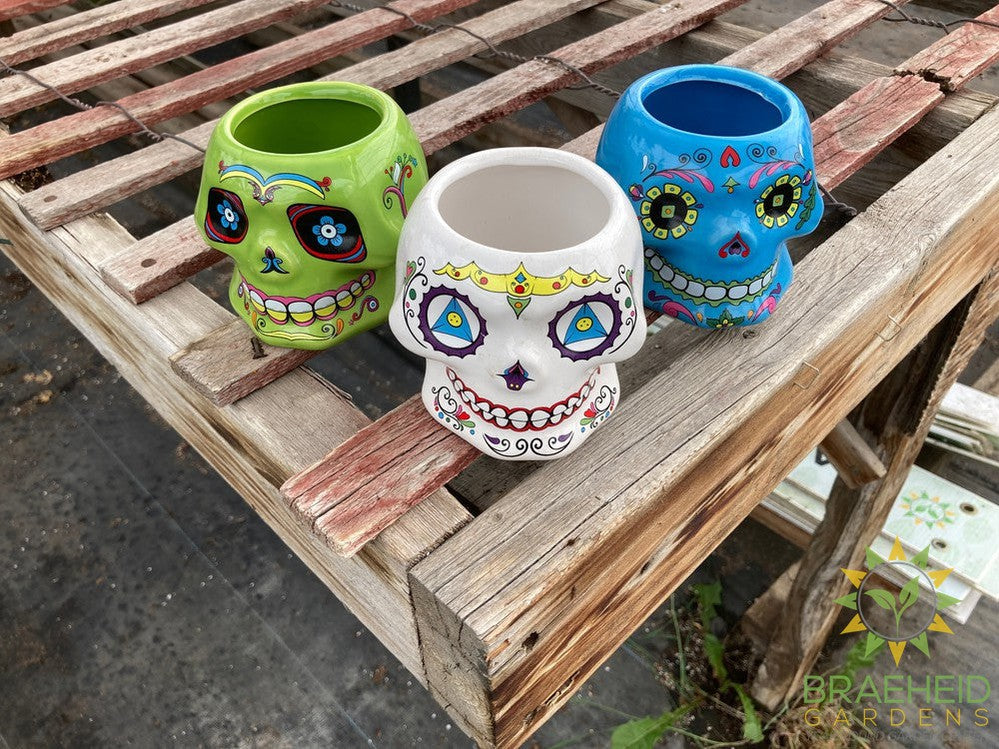 Day of the Dead Ceramic Planters