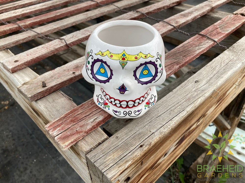 Day of the Dead Ceramic Planters