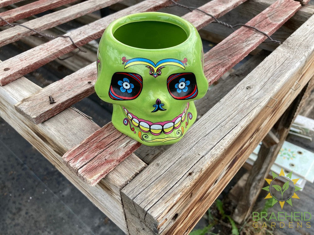Day of the Dead Ceramic Planters