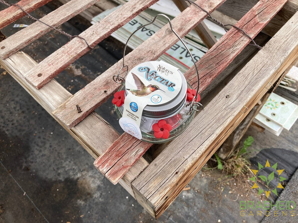 Mason Jar Hummingbird Feeder