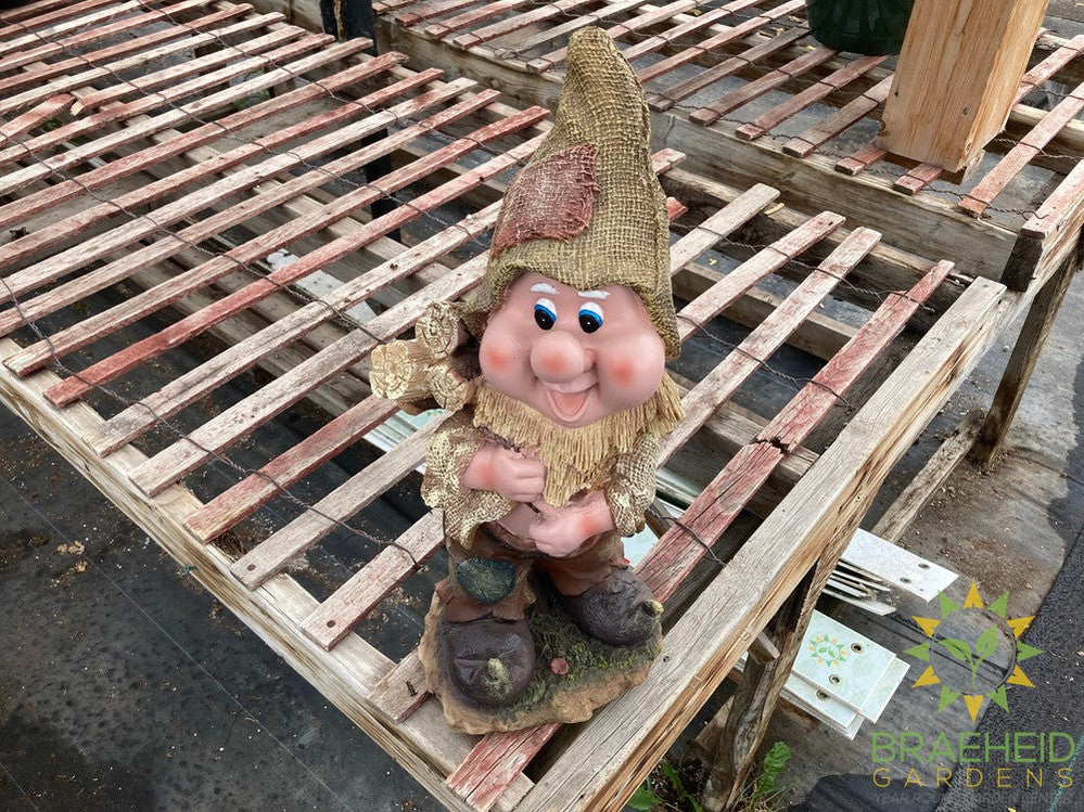 Gnomes Working Garden Gnome