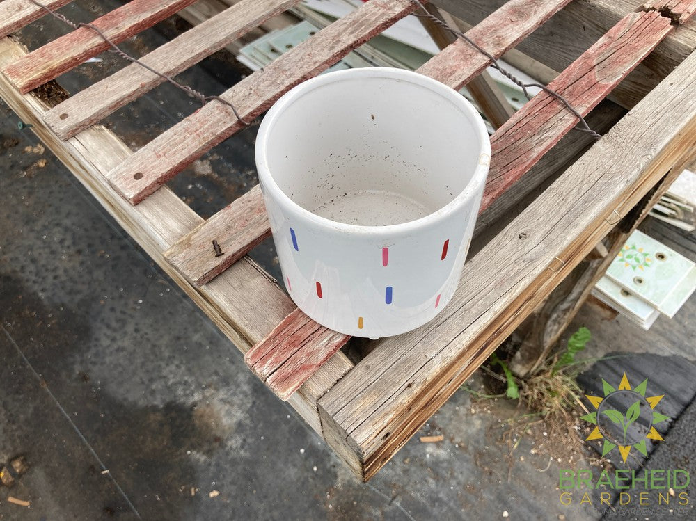 Sprinkle Ceramic Planter