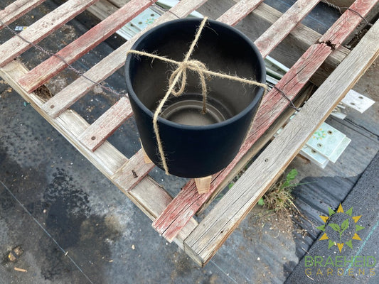 Rubber Painted Pot on Stand Black