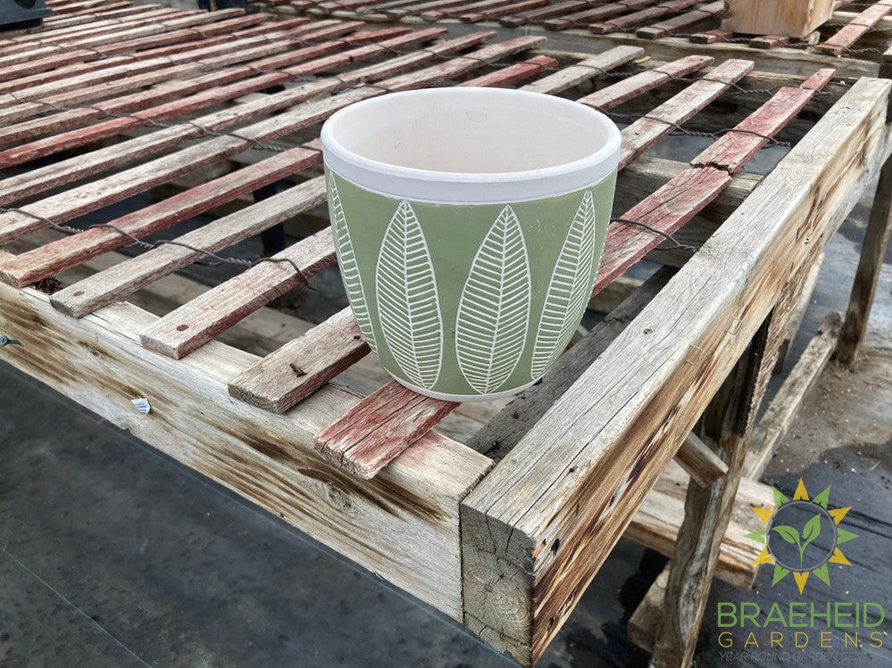 Green Leaf Cement Planter