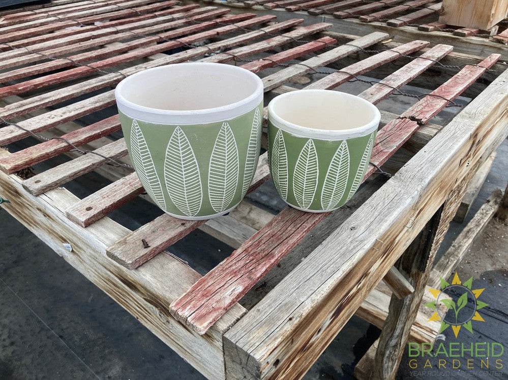Green Leaf Cement Planter