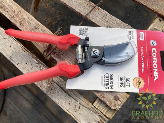 Pruner Bypass with -NO SHIP