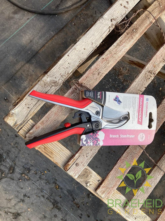 RatchetCUT ΒΎ-"  Bypass Pruner-NO SHIP