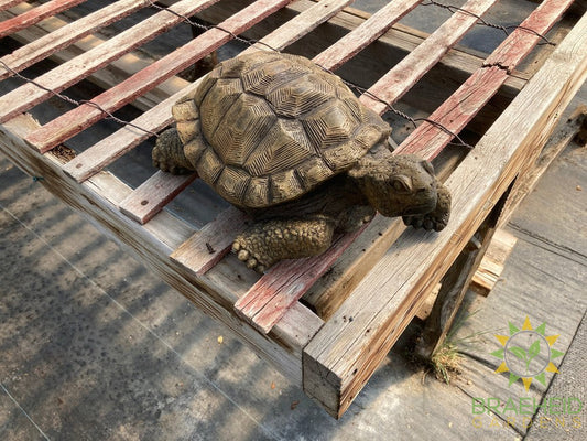 Turtle Garden Ornament - NO SHIP -