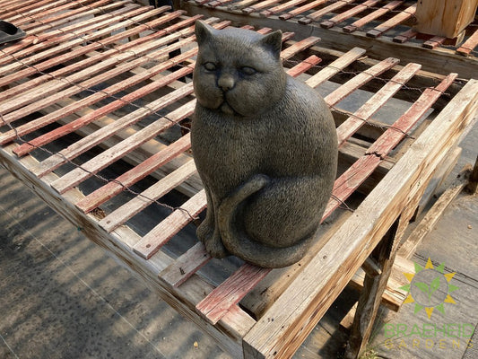 Cat Sitting - NO SHIP -