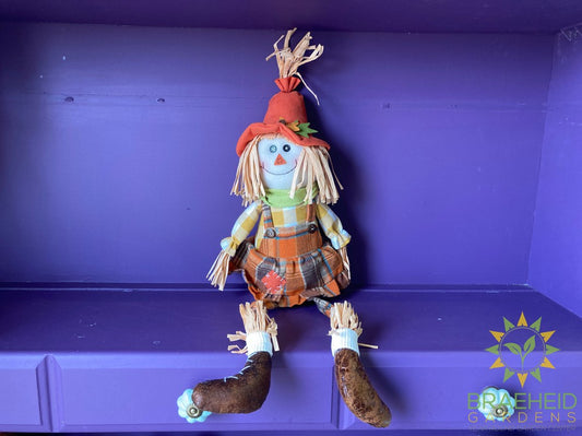 Scarecrow Stuffed Shelfsitters