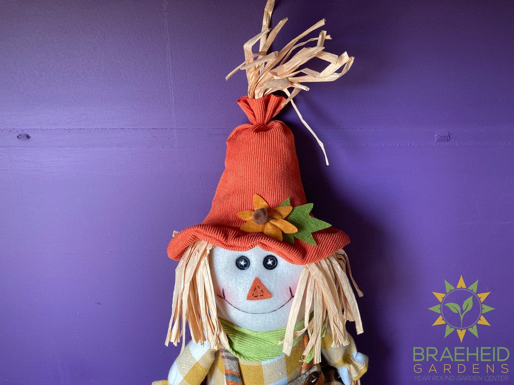 Scarecrow Stuffed Shelfsitters