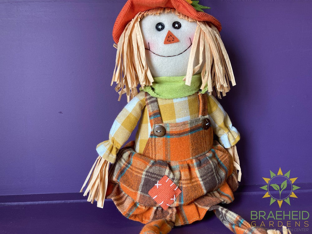 Scarecrow Stuffed Shelfsitters