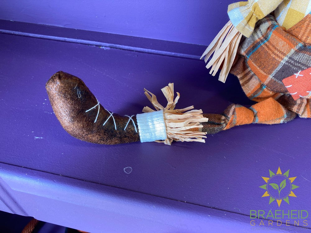 Scarecrow Stuffed Shelfsitters