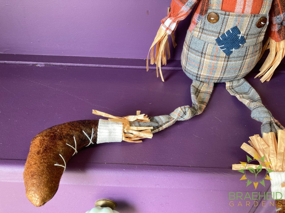 Scarecrow Stuffed Shelfsitters
