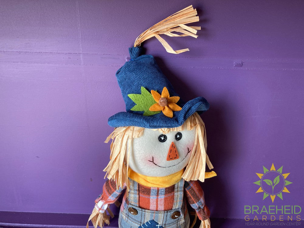 Scarecrow Stuffed Shelfsitters