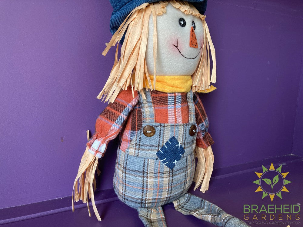 Scarecrow Stuffed Shelfsitters