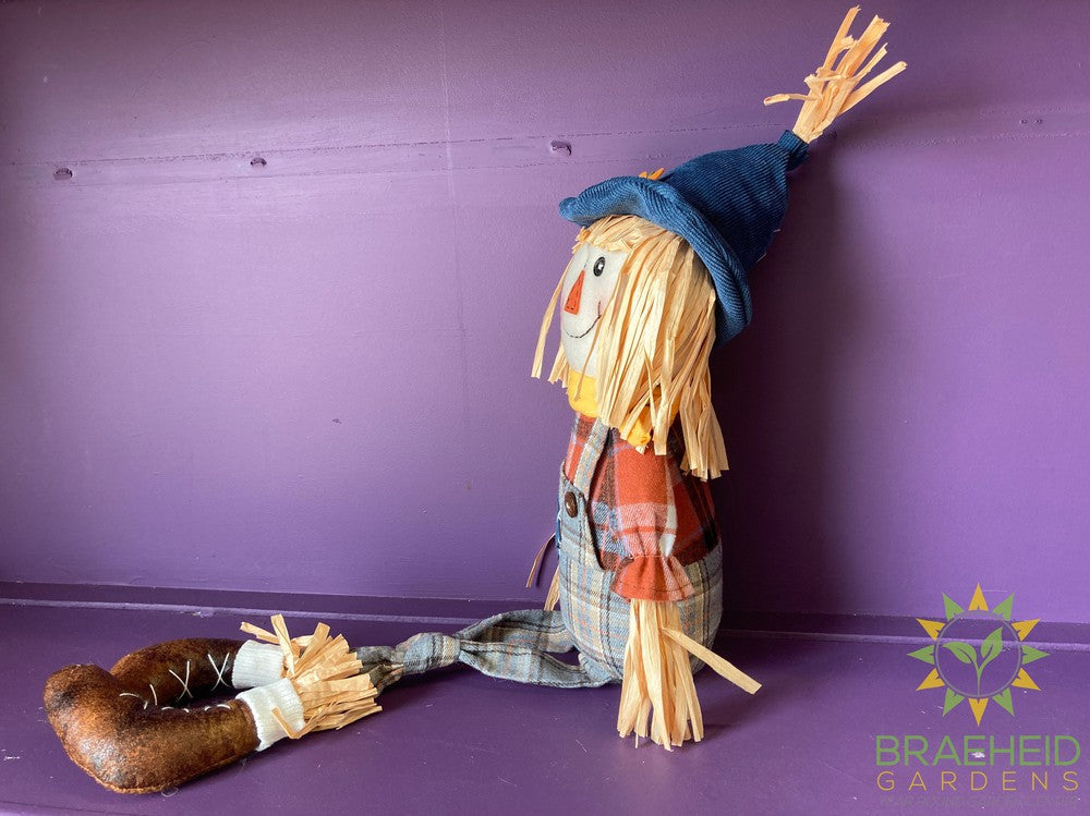 Scarecrow Stuffed Shelfsitters