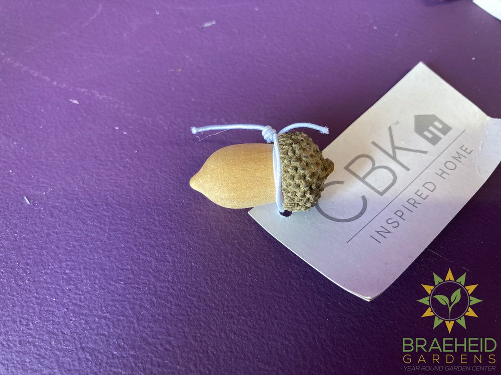 Carved Mini Acorns