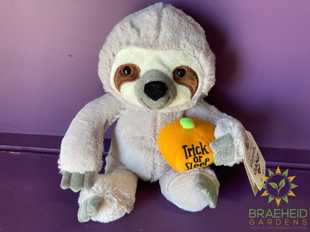 Trick Or Sleep Pumpkin Sloth