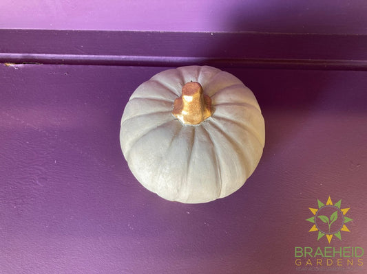 Pumpkin Decor