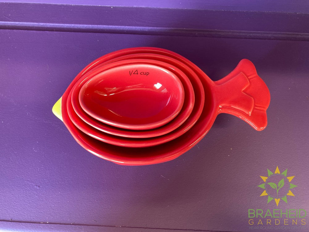Cardinal Nested Measuring Cups (4 pc. set)
