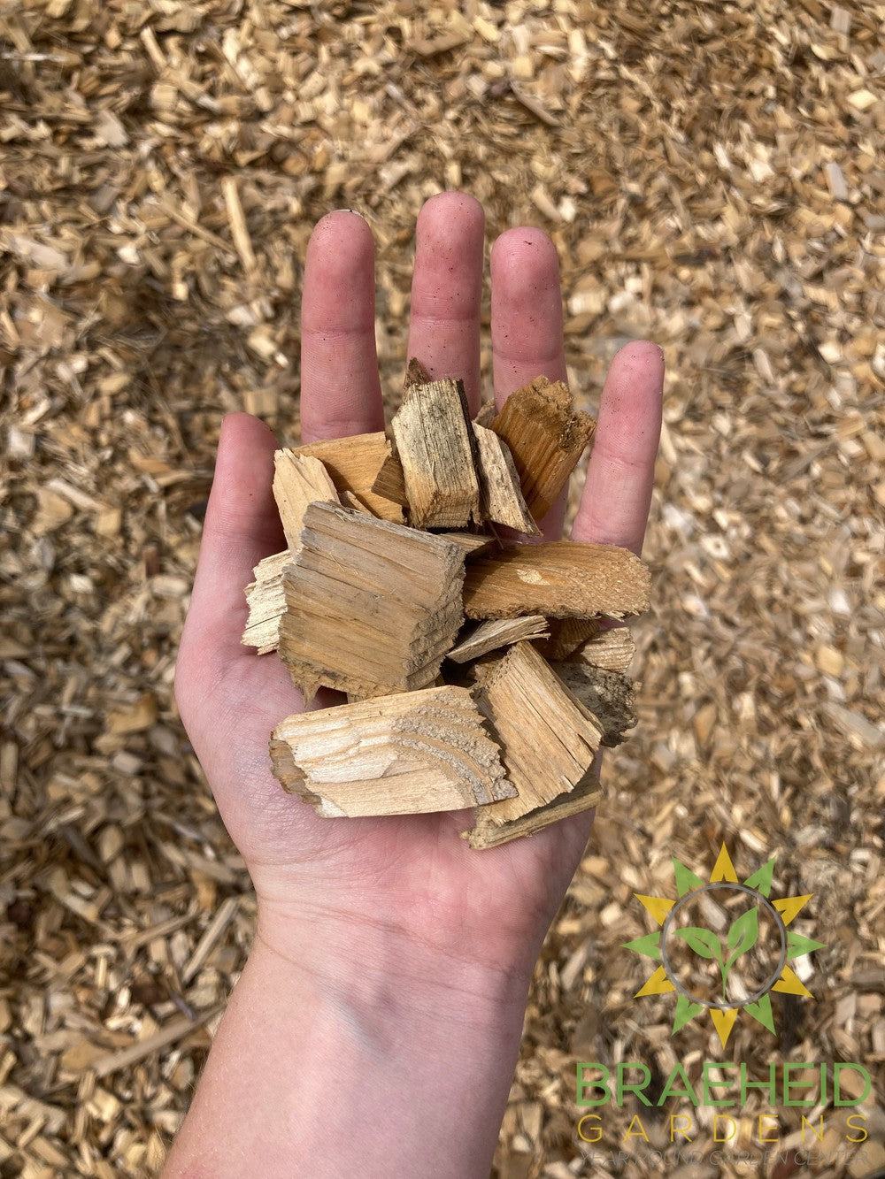 Wood Chips