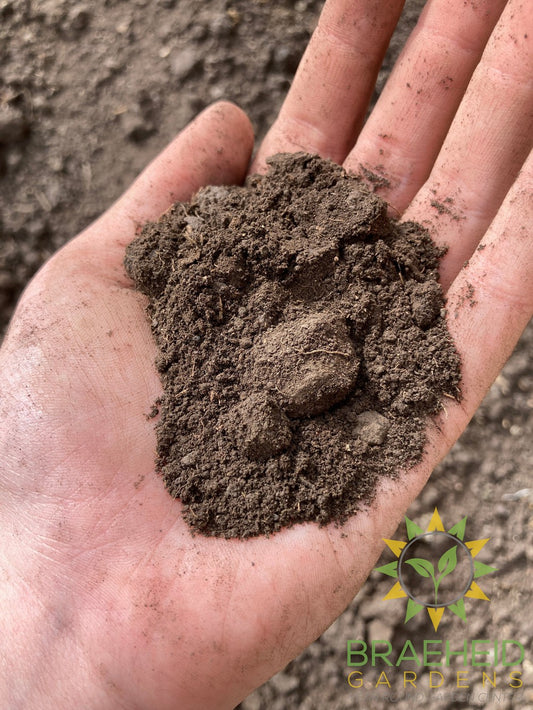 Peat Soil