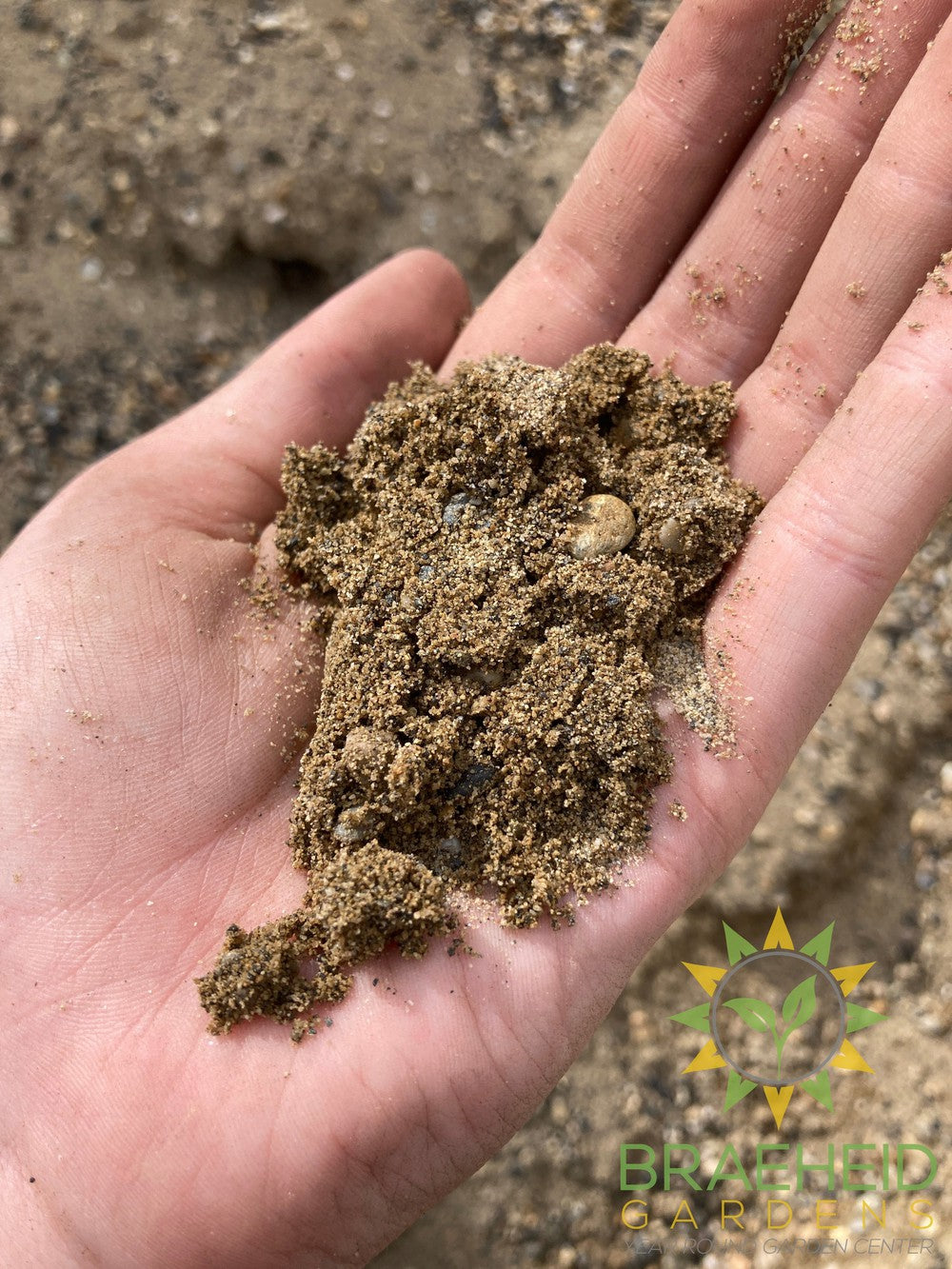 Washed Sand