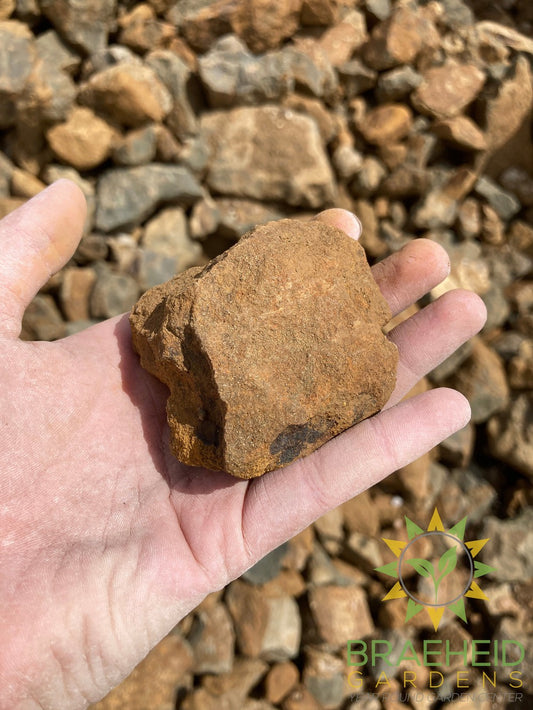 Large Red Shale