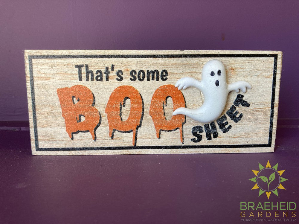 Snarky and Spooktacular - Shelfsitters