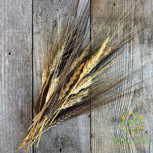 Wheat Spray