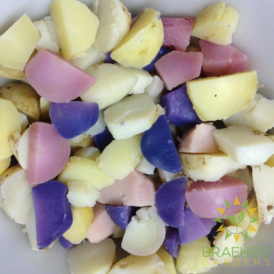 Potato Fruit Seeds