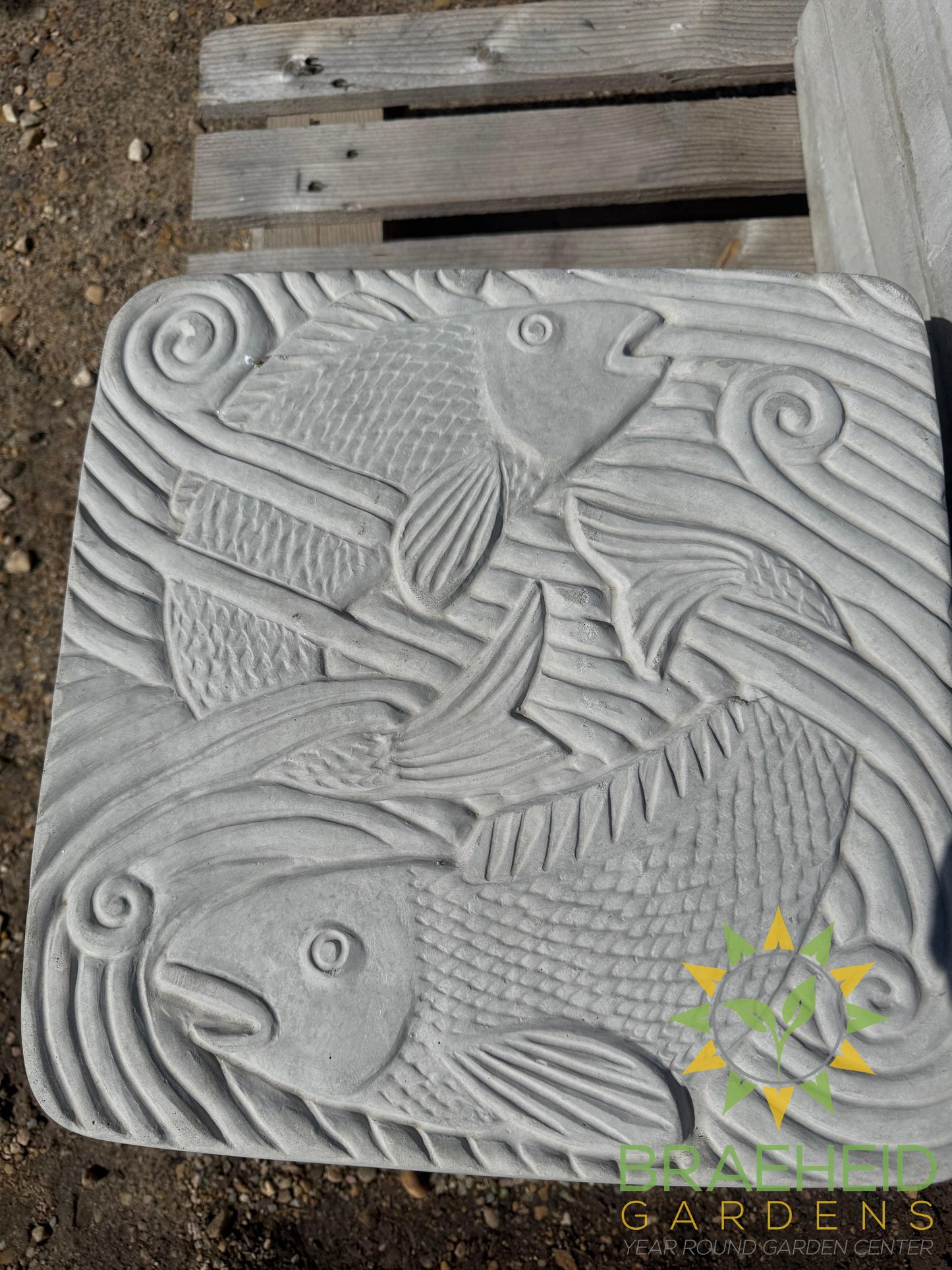 Concrete Fish in Water Stepping Stone