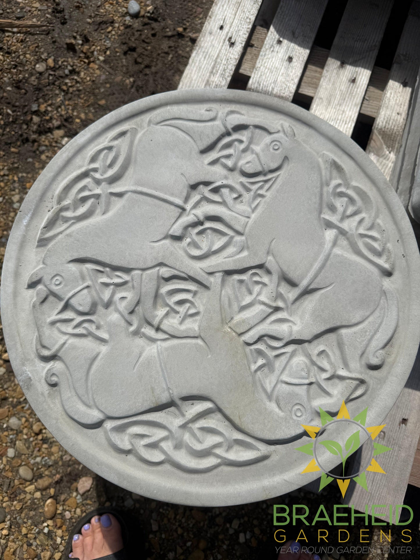 Concrete Celtic Horses Stepping Stone