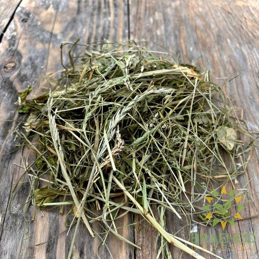 Meadow Foraging Mix