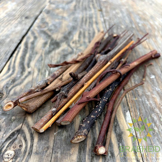 Tasty Twigs