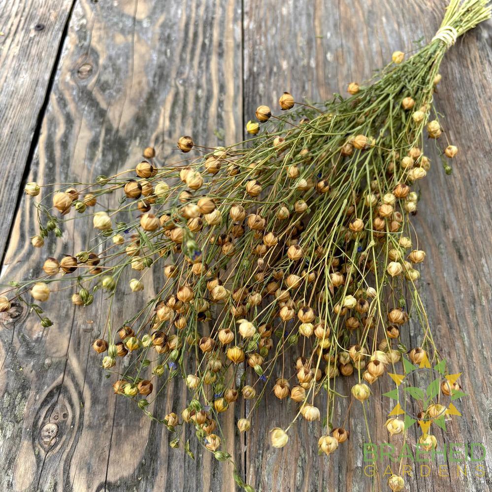 Flax Spray
