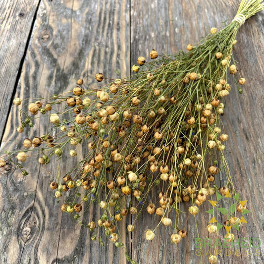 Flax Spray