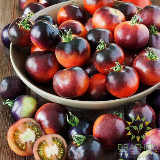 Indigo Rose Tomato